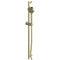 1830006 Textura Rail Shower Brushed Brass