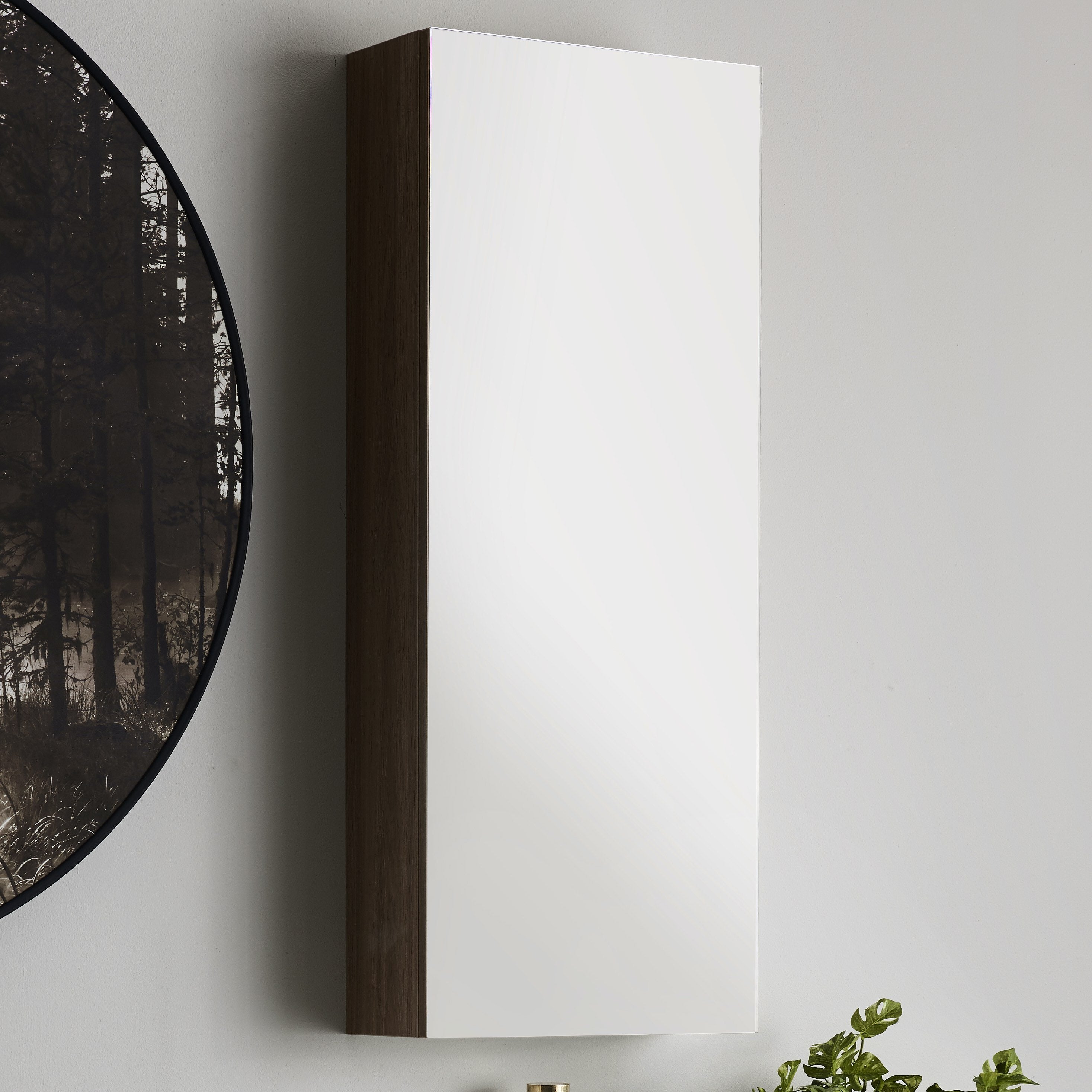 bathroom shaving cabinet