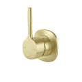 Phoenix Vask SwitchMix Shower / Wall Mixer Pin Up, Brushed Gold image