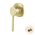 Phoenix Vask SwitchMix Shower / Wall Mixer Fit-Off Kit, Brushed Gold image