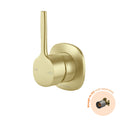 Phoenix Vask SwitchMix Shower / Wall Mixer Pin Up Fit-Off Kit, Brushed Gold image