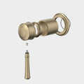 Caroma Riviere Bath/Shower Mixer Trim Kit, Brushed Brass image