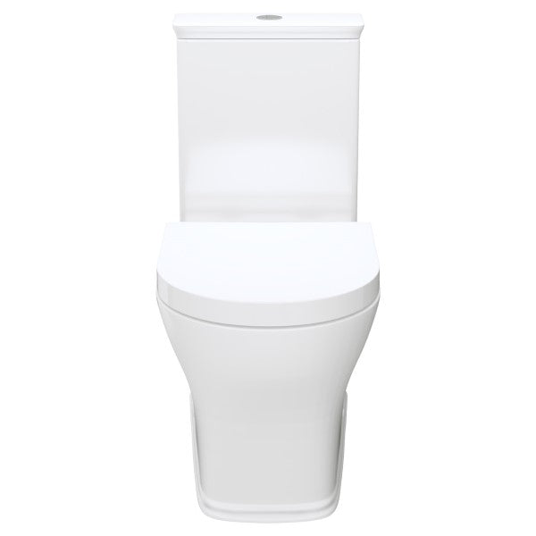 Fienza Lillian Back To Wall Toilet Suite (Multiple Options)