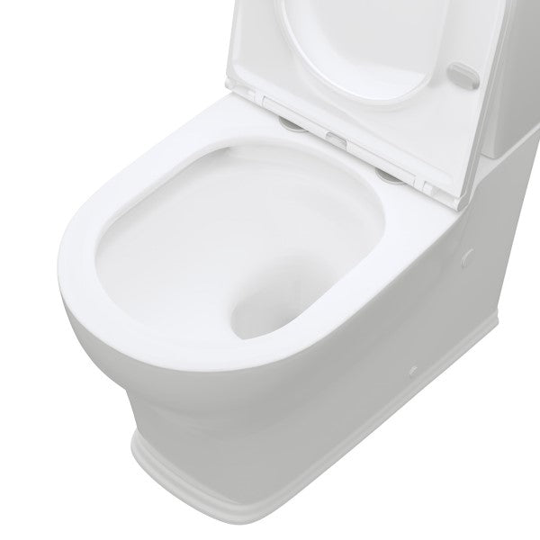 Fienza Lillian Back To Wall Toilet Suite (Multiple Options)