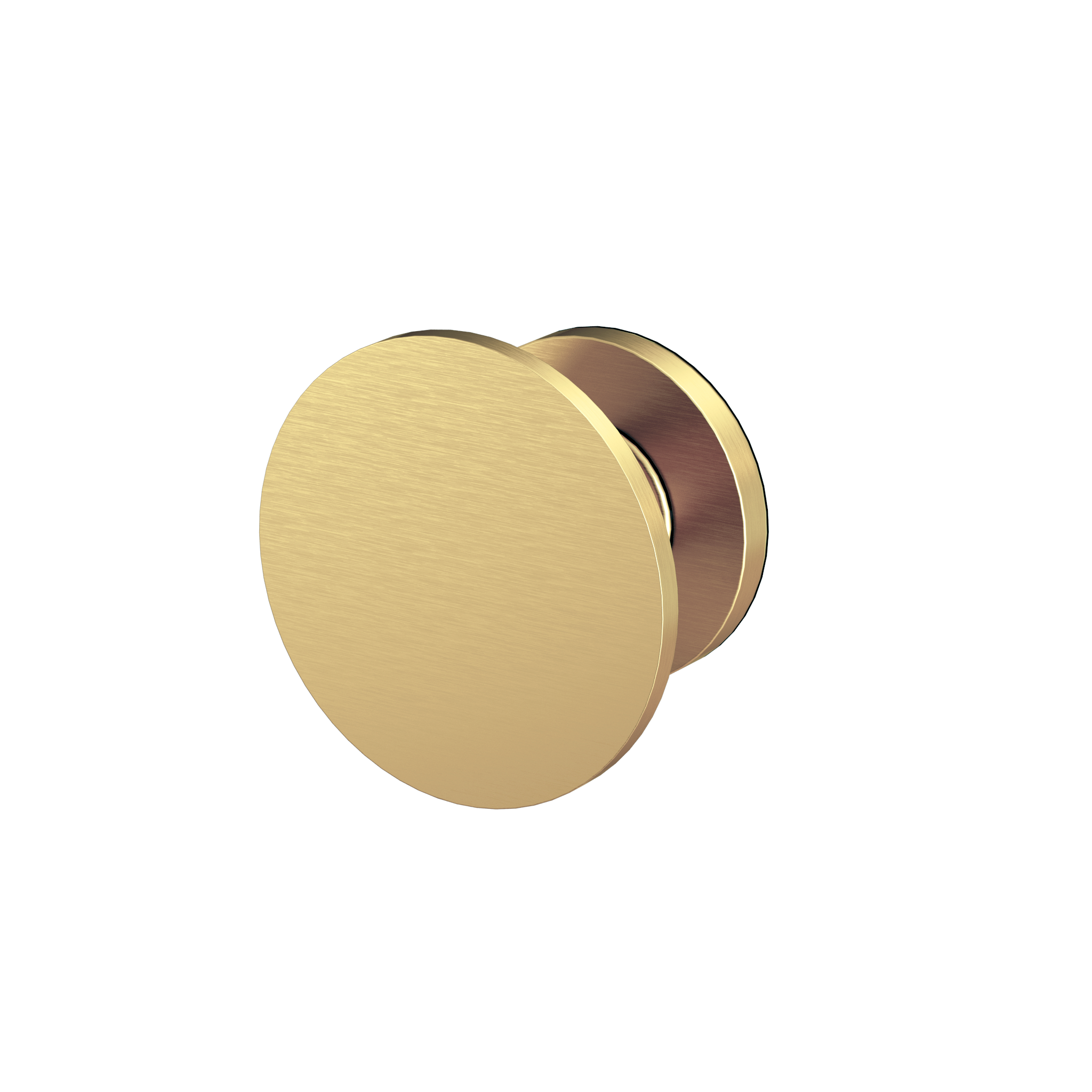 Master Rail 60mm Disk Hook - Brushed Gold