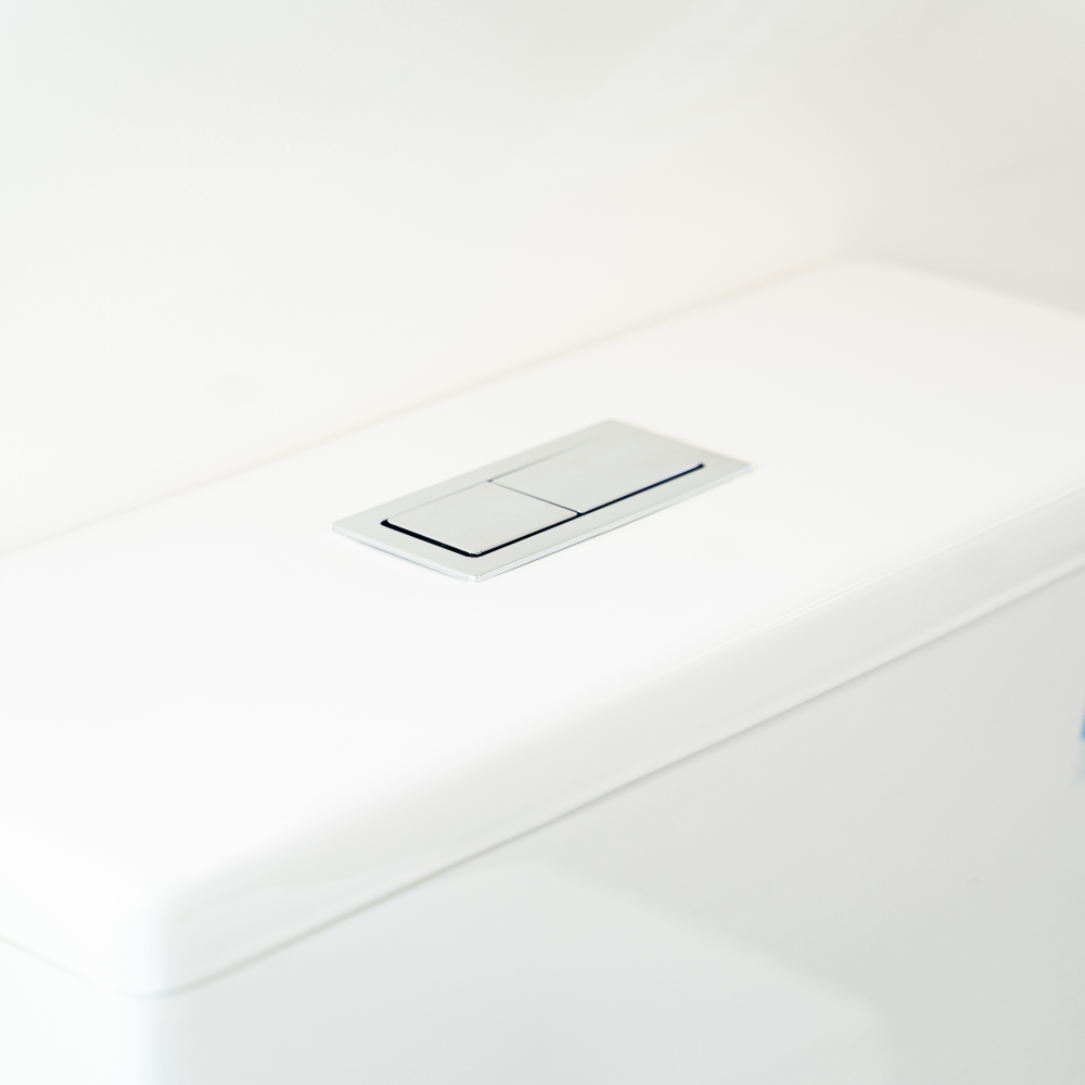 Dublin Box Rim Wall Faced Toilet Suite