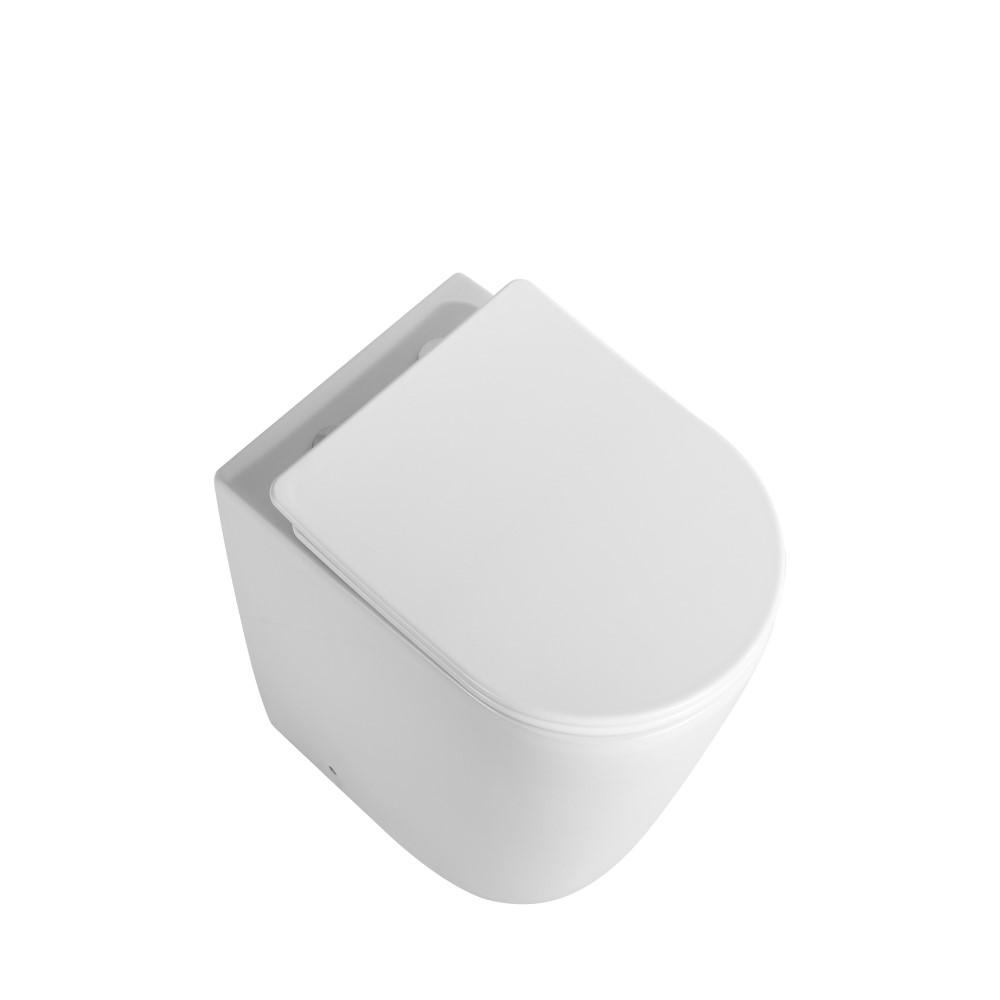 Fairfield Rimless Wall Faced Pan and Seat - White