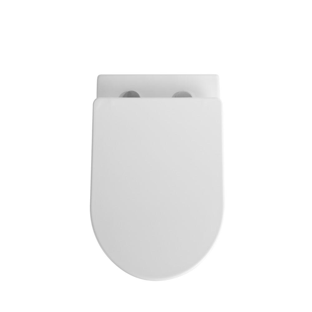 Fairfield Rimless Wall Faced Pan and Seat - White