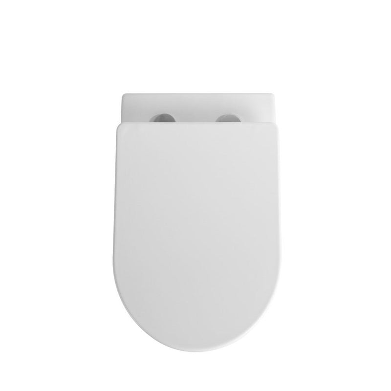 Fairfield Rimless Wall Faced Pan and Seat - White