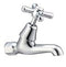 Ezy Clean Female Bib Tap - Chrome