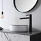 Aulic Dove Basin 360mm Diameter, White Gloss with Black Edge