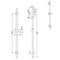 BD Eve 3 Function Shower on Rail - Brushed Nickel