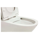 BPA Emilia Raised Height, Short Projection, Rimless Back To Wall Toilet Suite