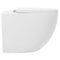 BPA Gemelli Rimless Wall Faced Pan & Seat