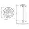 Johnson Suisse Venezia Overhead Rain Shower with 300mm Ceiling Arm - Gunmetal