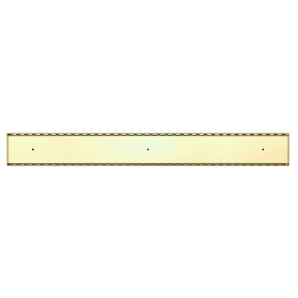 Nero 900mm Tile Insert Channel Floor Grate (50mm/89mm Outlet Options) - Brushed Gold