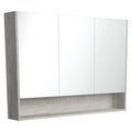 Fienza 1200mm Mirror Cabinet with Undershelf - Industrial