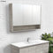 Fienza 1200mm Mirror Cabinet with Undershelf - Industrial