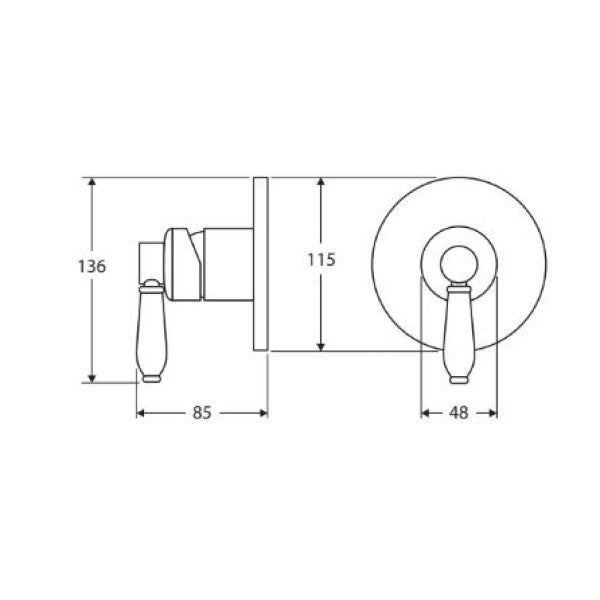 Fienza Eleanor Shower Mixer - Brushed Nickel / Ceramic