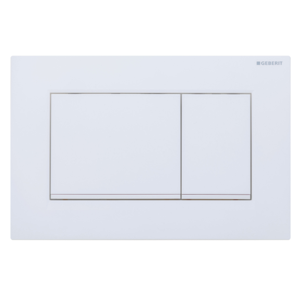 Geberit In Wall Package - Rimini Rimless Pan - Sigma 30 Round Button