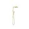 Nero Celia Flat Rail Square 250mm Combination Shower - Brushed Gold