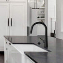 Dolce Pull Out Kitchen Mixer - Matte Black