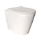 Fifth Ave Vega Matte White In Wall Toilet Suite Package