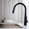 Dolce Pull Out Kitchen Mixer - Matte Black