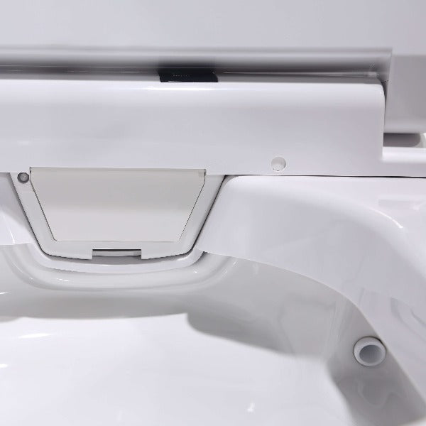 Lafeme Bloc Electric Smart Luxury Bidet Toilet Suite - ST19