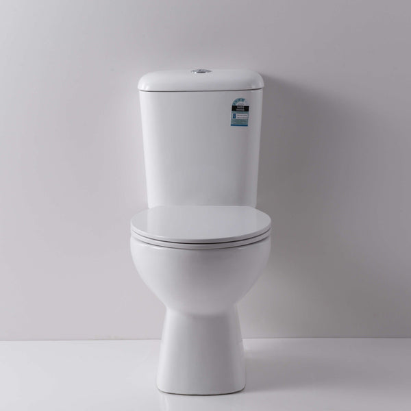 Hobson Rimless Close Coupled Toilet Suite - Nano Coated - P Trap