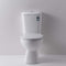 Hobson Rimless Close Coupled Toilet Suite - Nano Coated - S Trap
