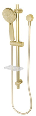 Phoenix Vivid Rail Shower - Brushed Gold