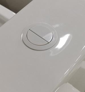 Matte Black & Gloss White Toilet Button Round Suits 48mm Hole